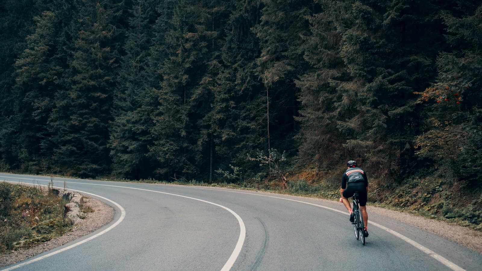 A cyclist on a winding forest road