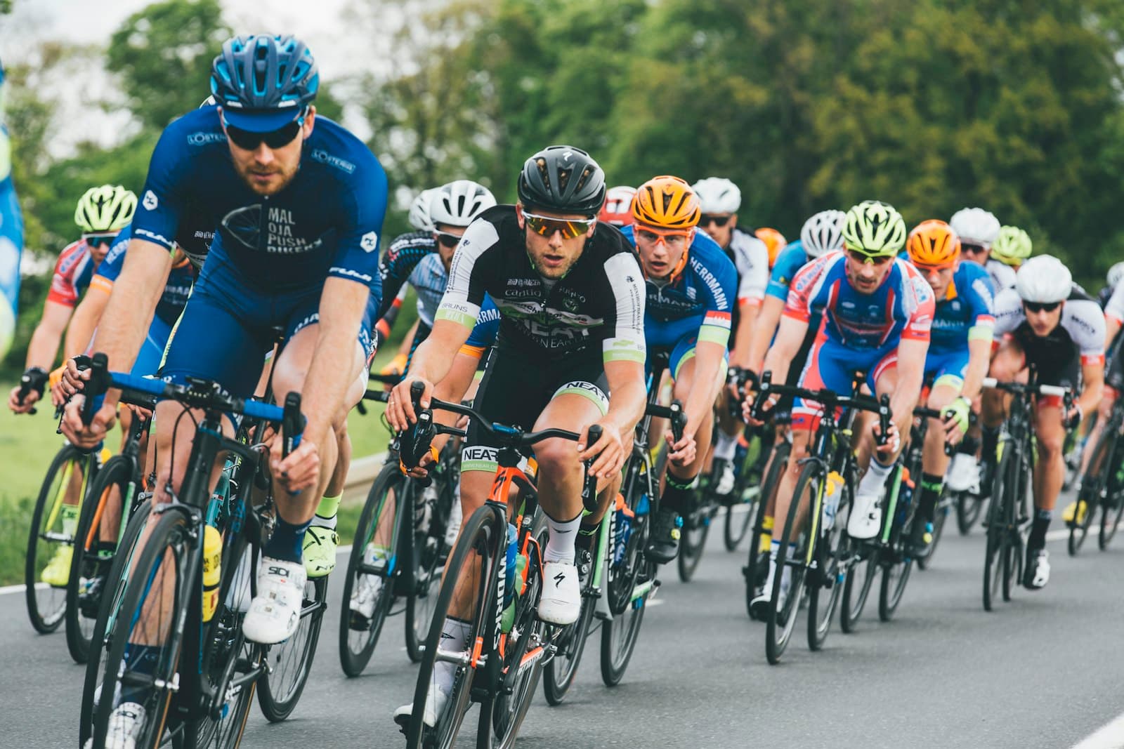 A group of road cyclists